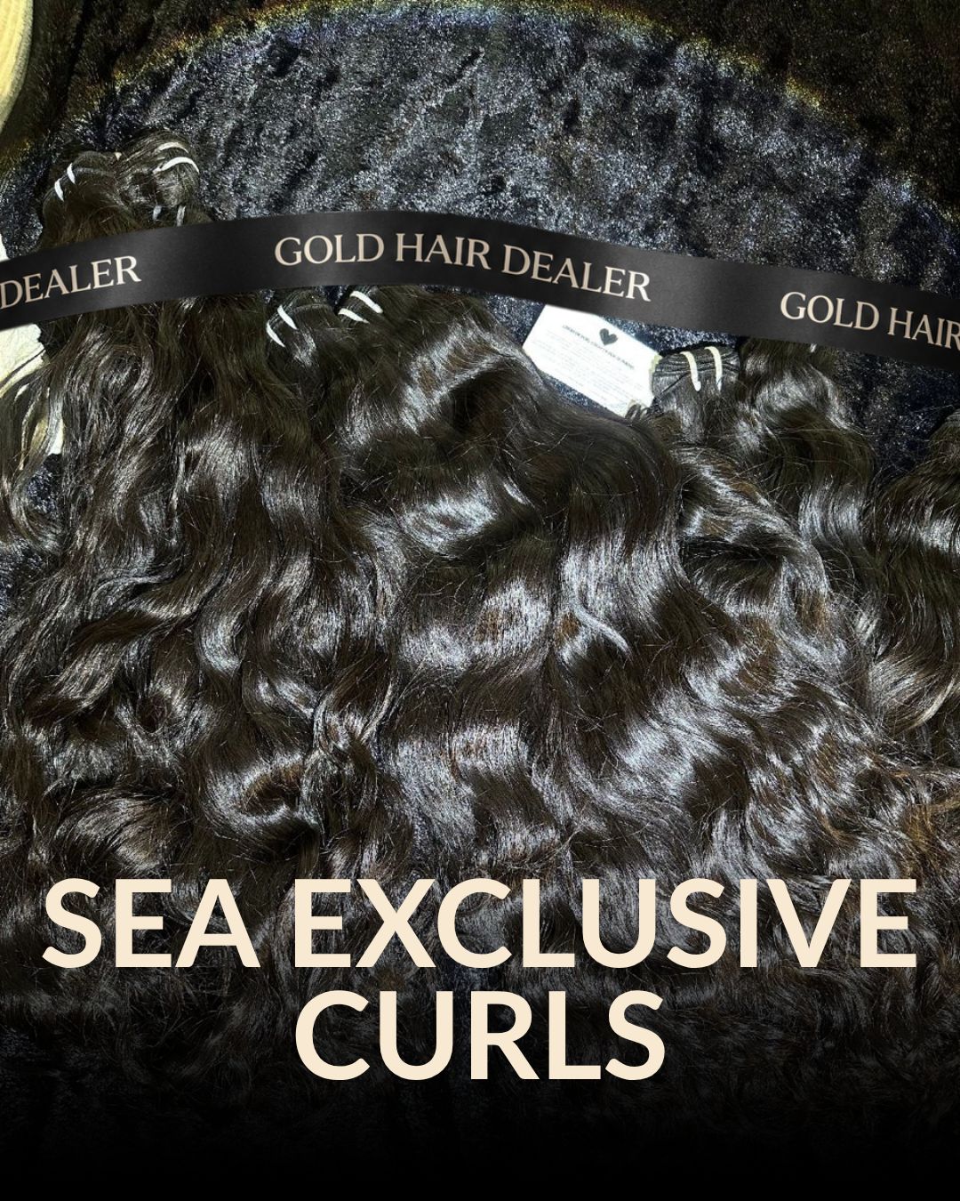 SEA EXCLUSIVE CURLS